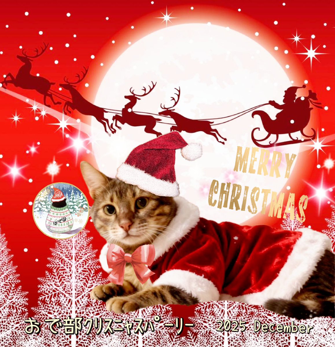 RT @Nyanyanko_club7: @nyanjirou28 なっちゃんからもMerry Xmas🎄 外