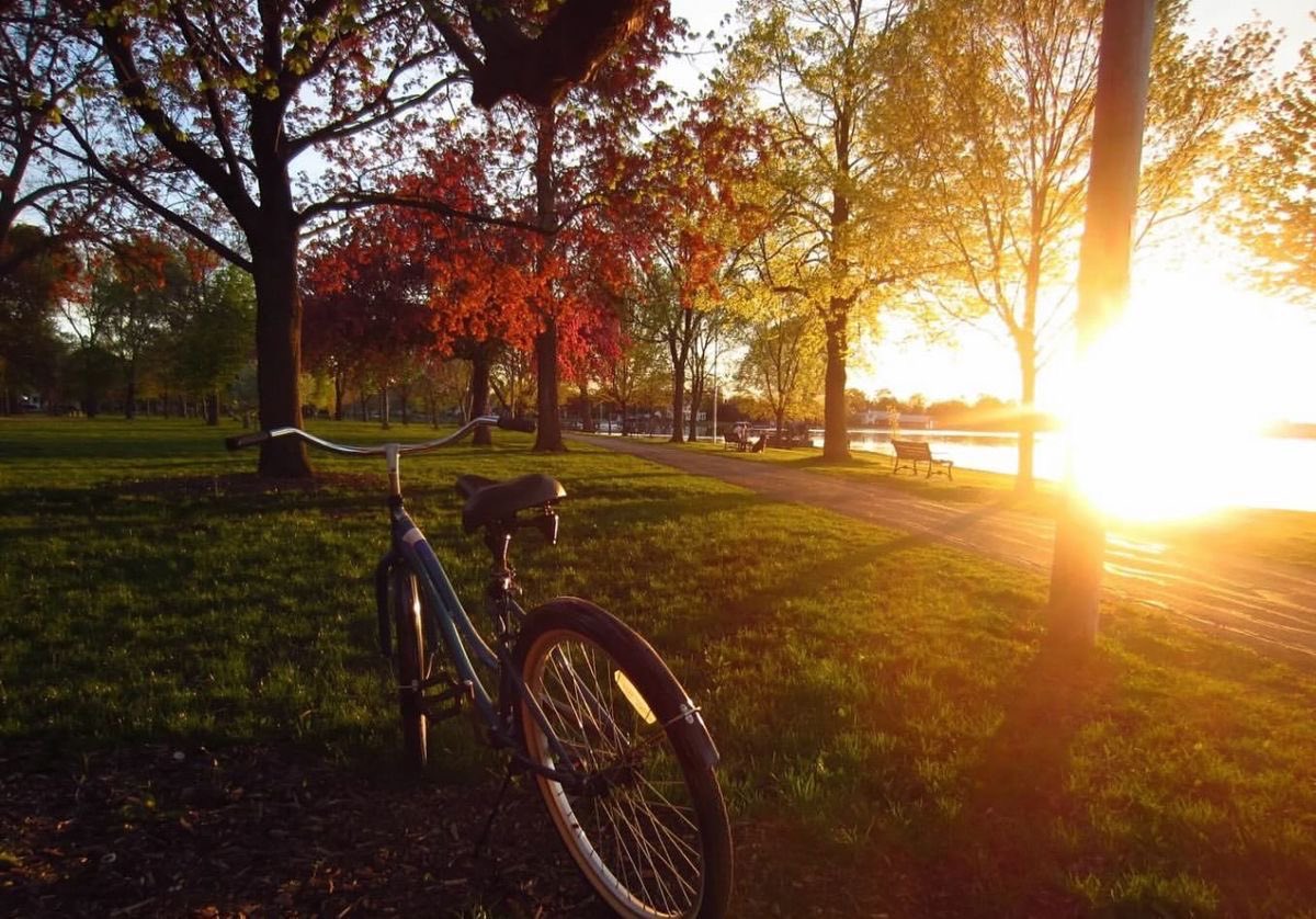 faewings's tweet image. life is so beautiful.