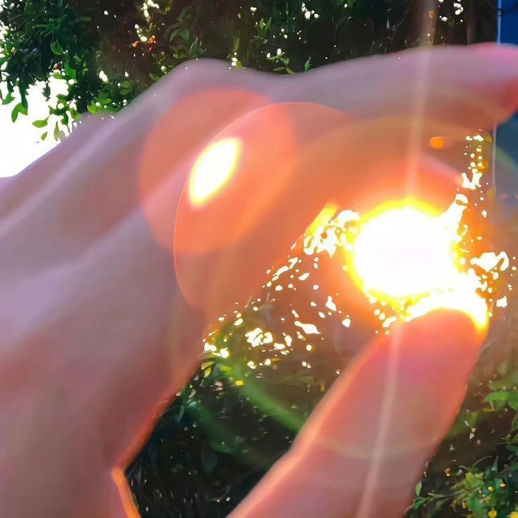 faewings's tweet image. life is so beautiful.