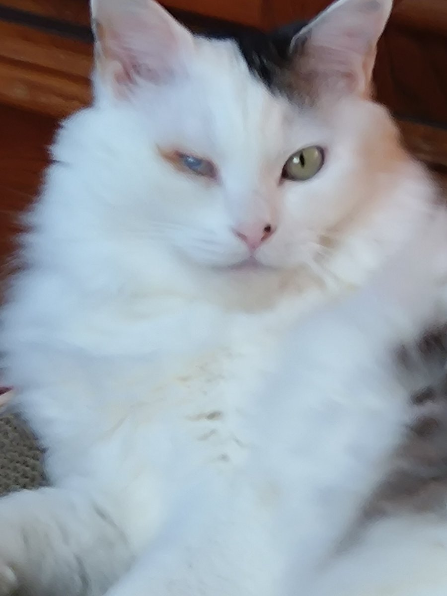 ソラママ😺😺💕 (@UcRevUwI7xf5CqS) / Posts / X