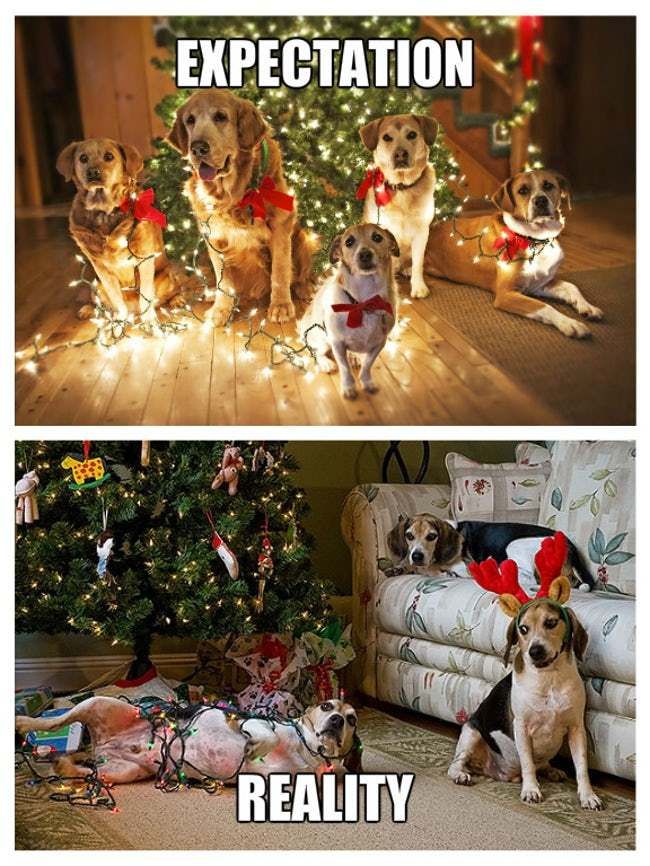 ROCKETMANtor's tweet photo. #ChristmasFacts https://t.co/cmmnGXXcZL