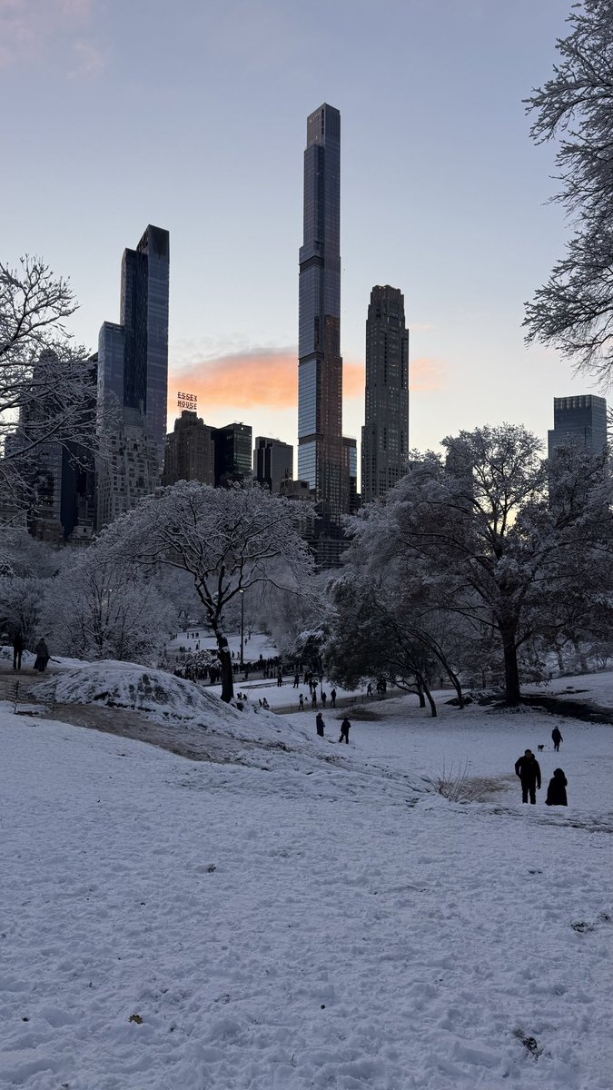 thesmiled's tweet photo. #Manhattan
#New_York
#Central_Park https://t.co/EvgaPGP727