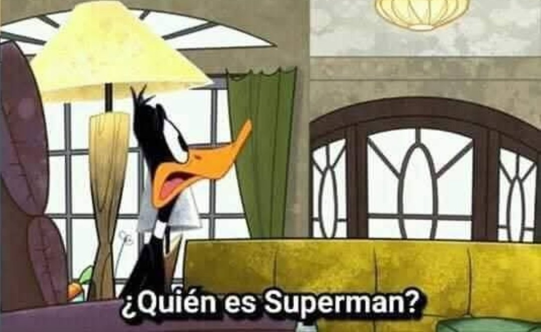 CatSolute tweet media