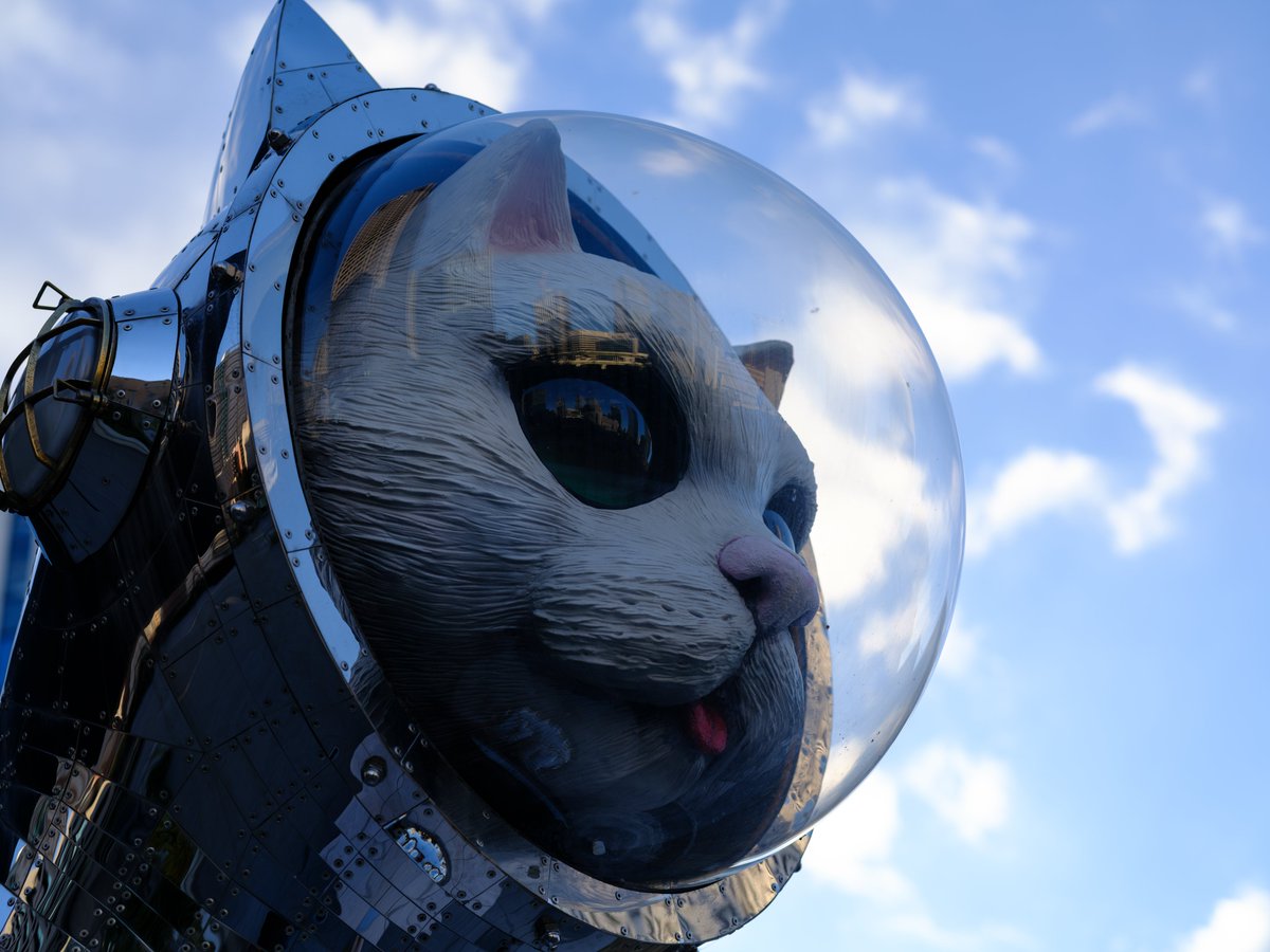 ららら♪📸🕊𓂃𓂂𓏸♡ (@rarara1818184) / Posts / X