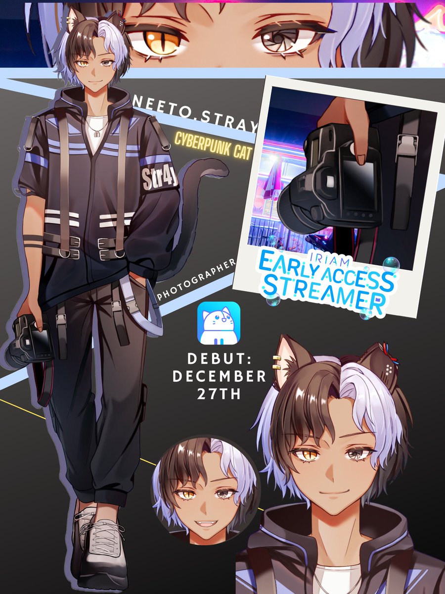 Neeto.stray 🐈📸💥 tweet media