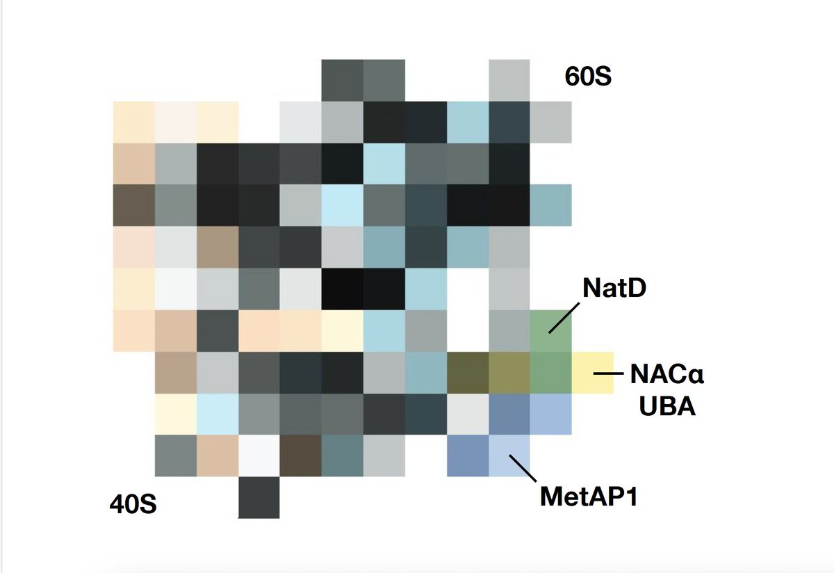The Ban Lab tweet media