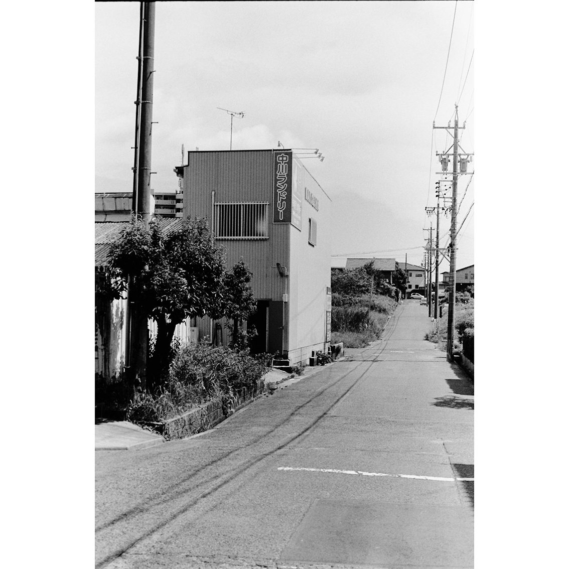 Any Day #photography