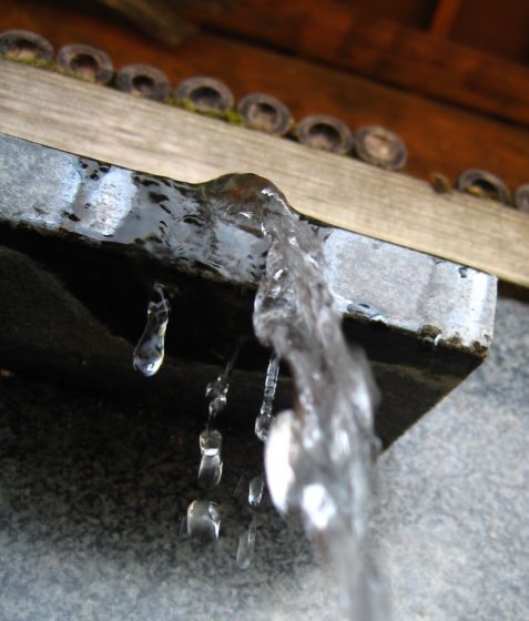 _Z400GP_'s tweet image. 本日20日(土)は
10:30から営業開始
⁡
ラストオーダーは14:00
　
今年最後の好天、素敵な休日をお過ごしくださいね
　
☎️0250-62-1510
取置き電話予約で
食べる分量を確保できます。
並盛✖️●人前
大盛✖️●人前
と承っておりますので、お気軽にご活用くださいね。
＊時間指定、席指定は不可です