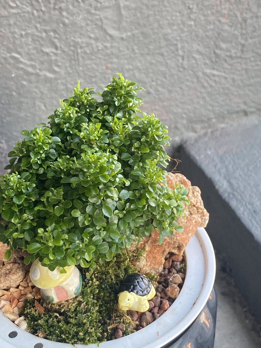 pf (@pxrfecttt) on Twitter photo 