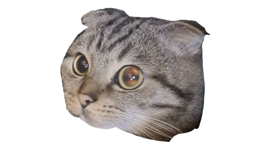 Aziz-DOS | عزيز دوس tweet media