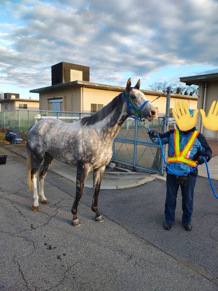 シップファン (@GOLDSHIP__) / Posts / X