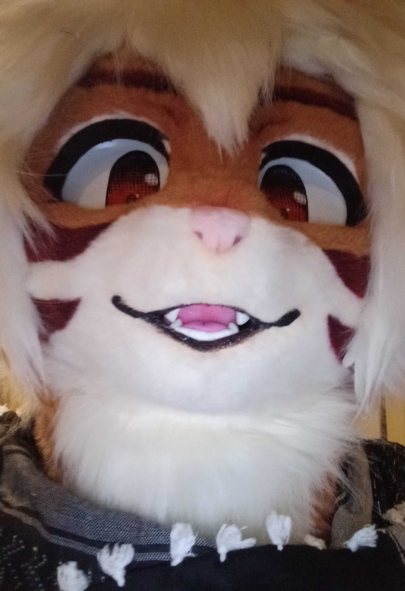 Taiga 🐯 tweet media