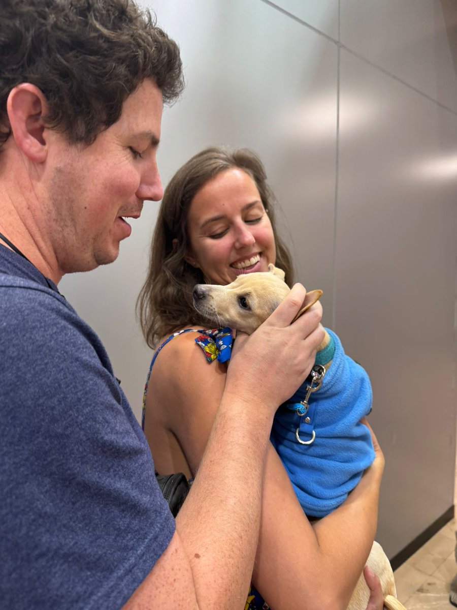 SarahRyanYEG's tweet photo. New adventure for this rescue Momma: being a flight angel! Today we volunteered to help fly cute little Stu to his new family in #yyc. Such a rewarding experience and he was a total doll! Our job? Cuddle Stu at Mexican airport & on @WestJet flight. Cost to you? $0 #yeg @FlyYEG https://t.co/kc2FE08roH