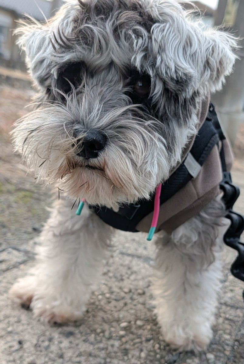 Mill_U._.U (@ch11_18) / Posts / X