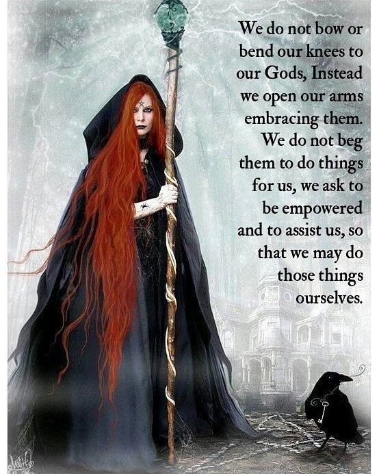 Rhiannon Macleod tweet media