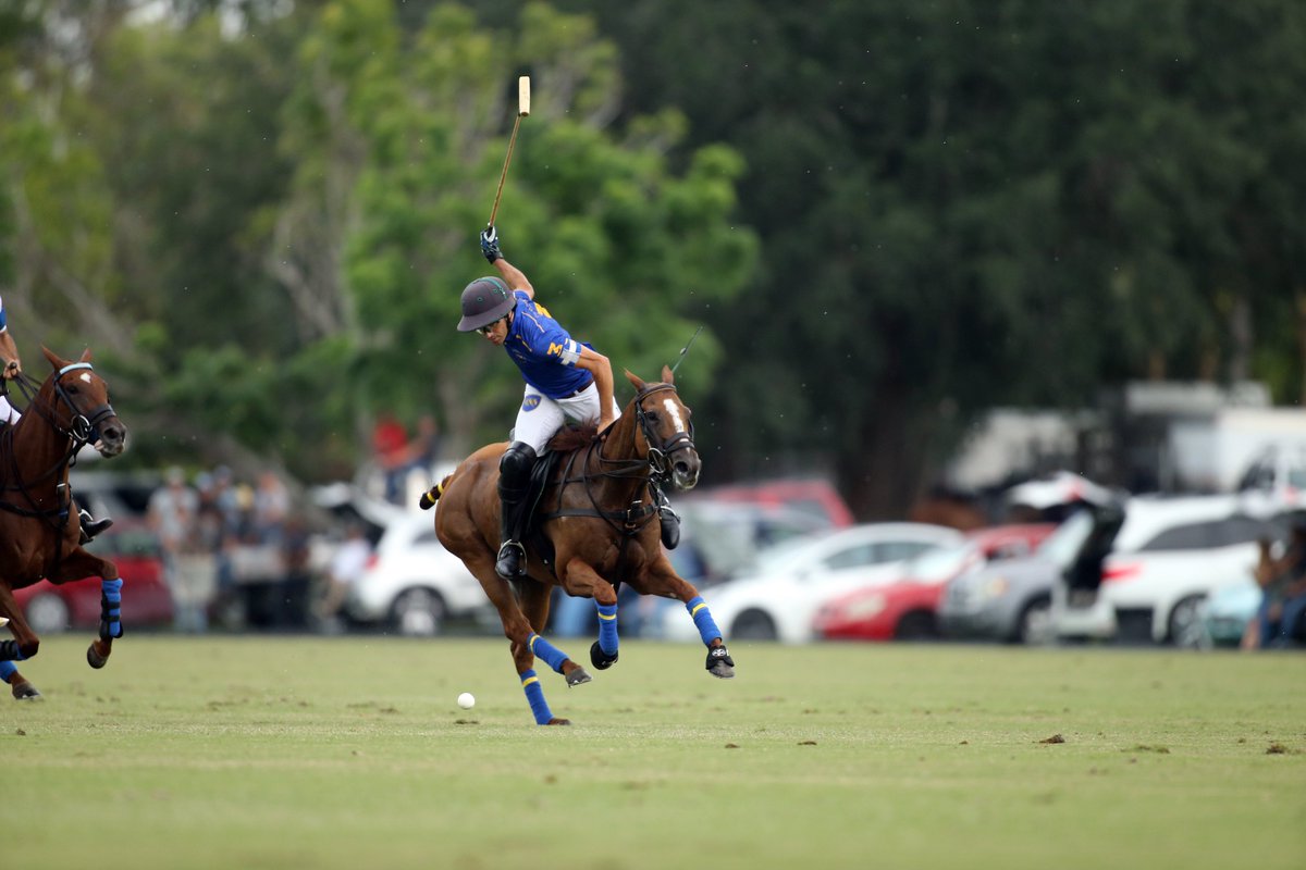 National Polo Center tweet media