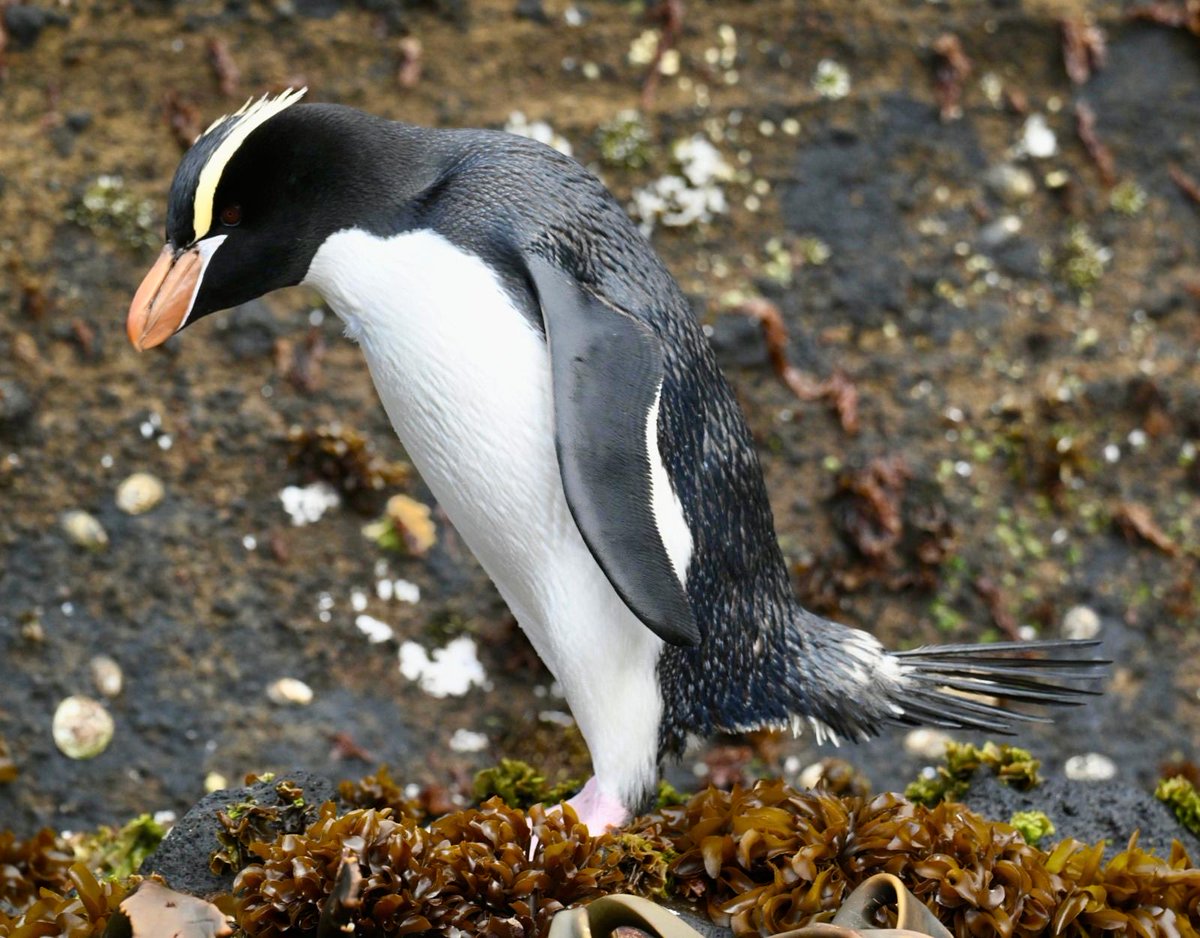 Peter nickless (@nickless_peter) on Twitter photo 