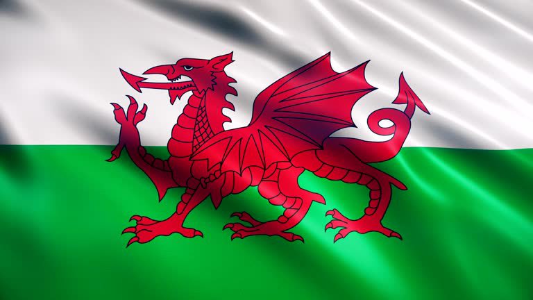 Benonwine tweet media