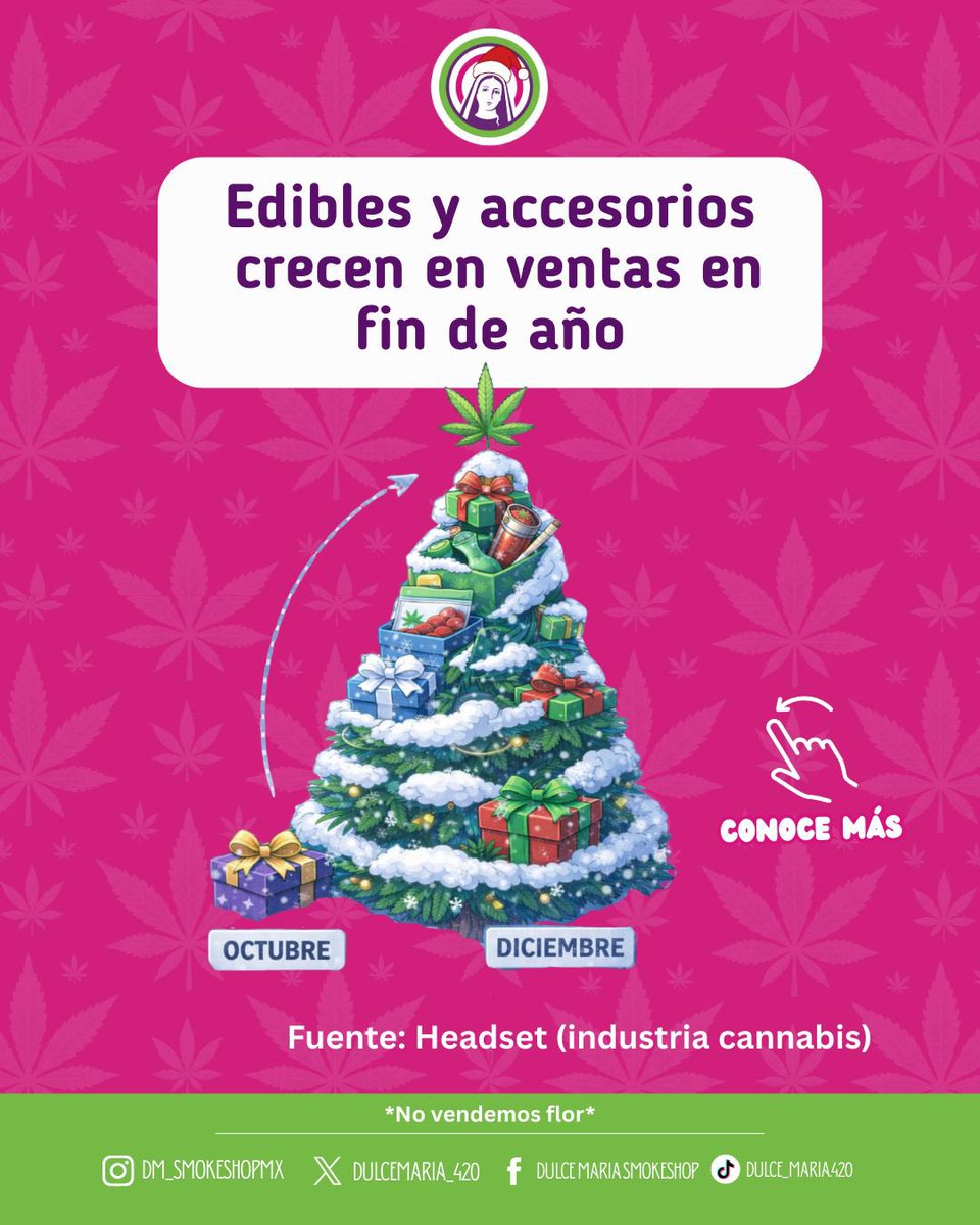 DulceMaria_420's tweet photo. Los datos lo dicen claro:
En diciembre aumentan las búsquedas de 420 gifts, stoner gifts, edibles y accesorios.

¿Por qué?
Porque regalar algo diferente también es una forma de conectar 💚

👉 Mándanos mensaje y te ayudamos a elegir el mejor regalo alternativo esta Navidad. https://t.co/i0ulOezxCr