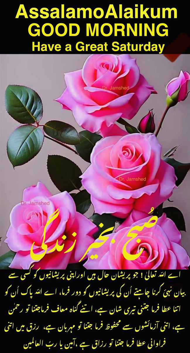 JamshedUSA's tweet image. 🌺🌺  Assalam   O   Alaikum  🌺🌺

    🌺Good Morning“X”Family🌺

    🌺 Have a Great Saturday 🌺

🌺(Like + Rt = Follow Back ) 💯🌺