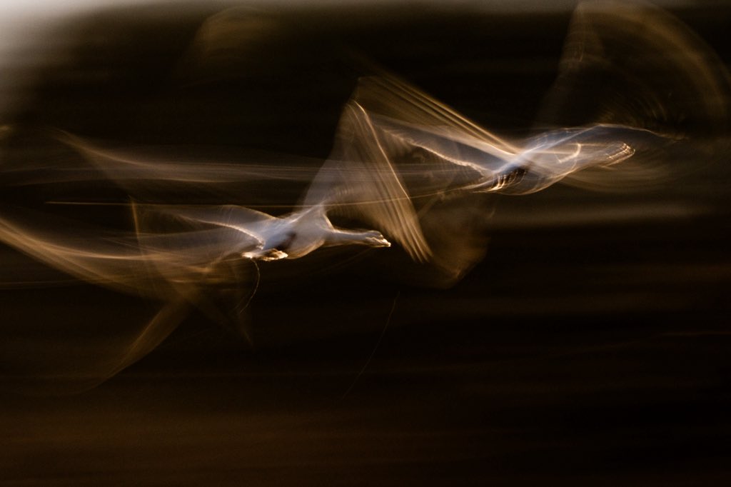 闇鍋(やみなべ) (@yaminabe) / Posts / X