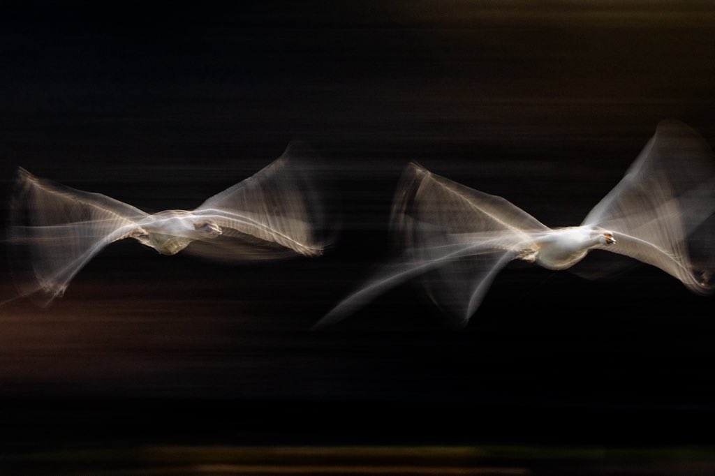 闇鍋(やみなべ) (@yaminabe) / Posts / X