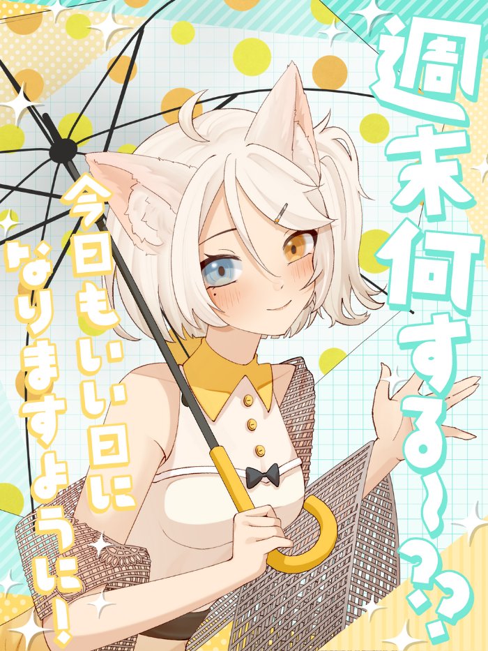 神崎紫苑Shion🐱🤍 (@kzkshion) / Posts / X