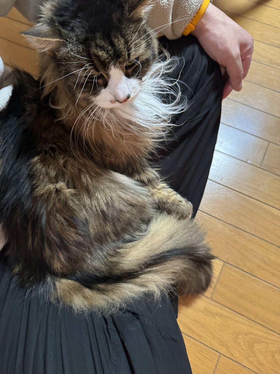 🆁🅾🆃 a.k.a. ろっと 12/20忘年会開催 (@rotxp) / Posts / X