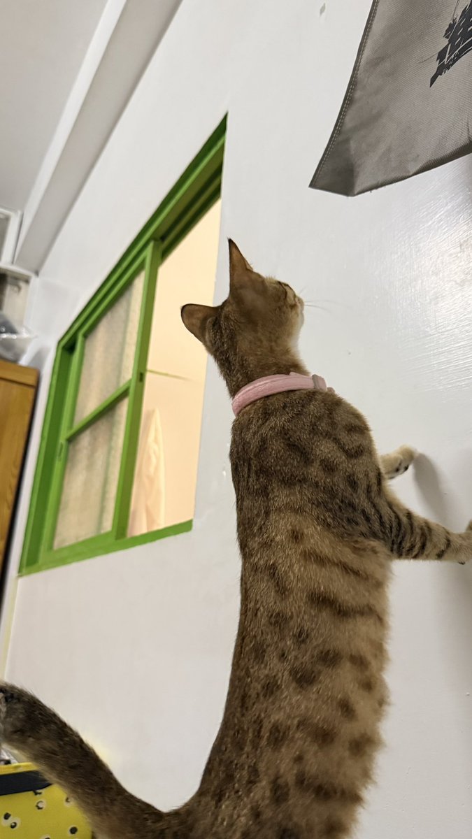 他咬我屁股