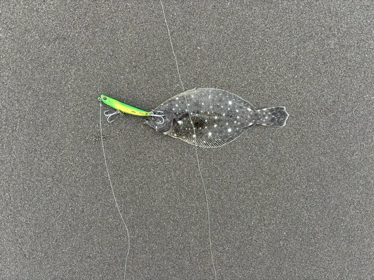 munezou (@MUNEZOU19XX) / Posts and Replies / X