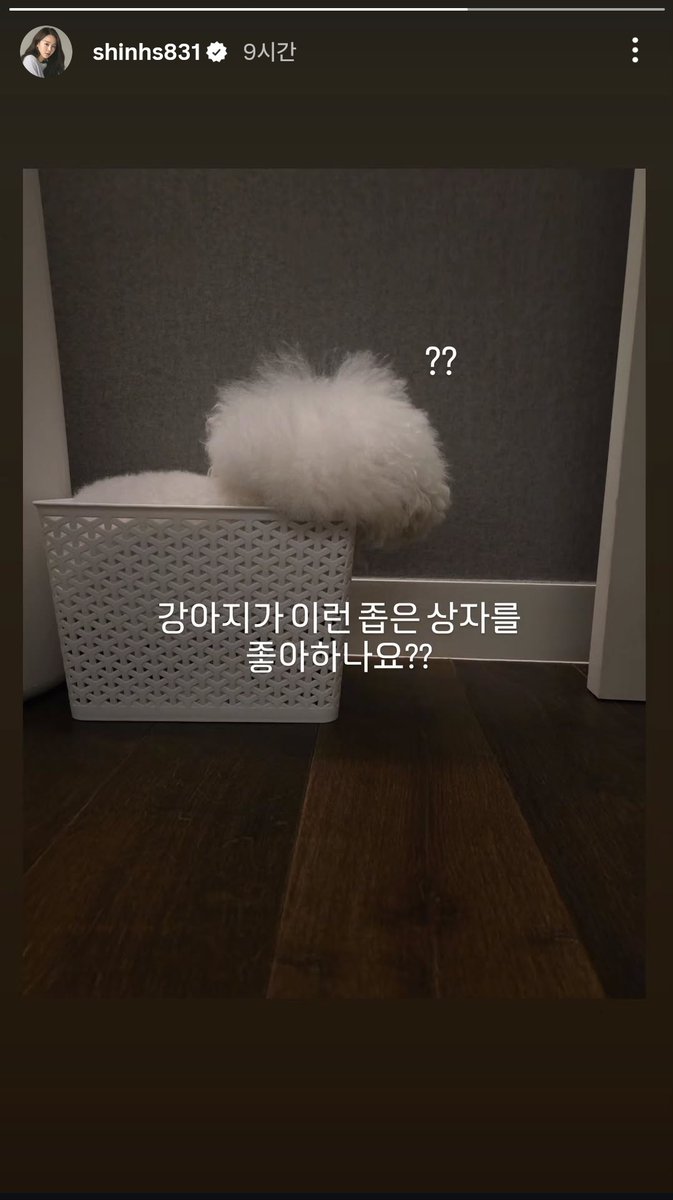 우리 언니... 인스스 너무 자주 올린다 뭐지??? 
우리 언니가 그럴 언니가 아닌데 헤헿헤헿헤