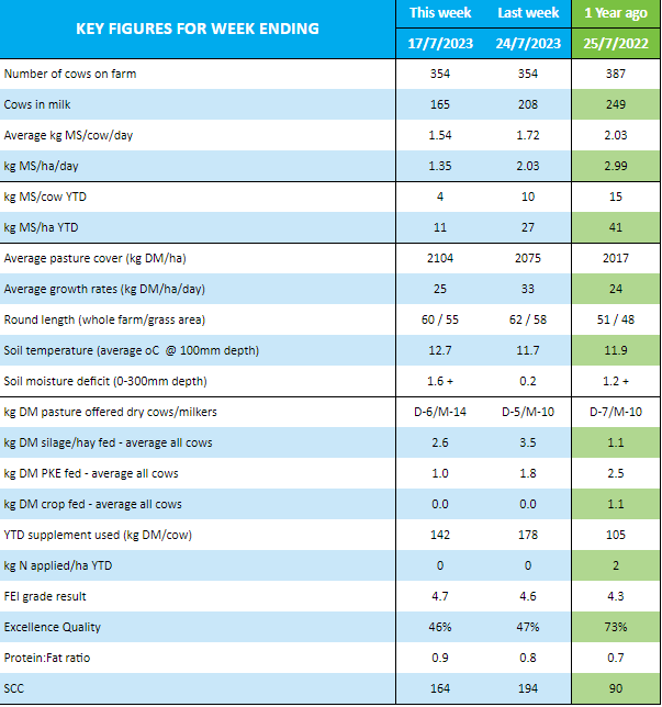 OwlFarmNZ tweet media