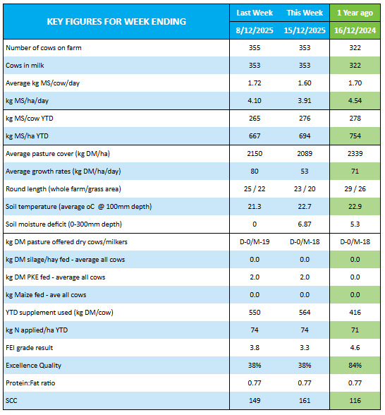 OwlFarmNZ tweet media