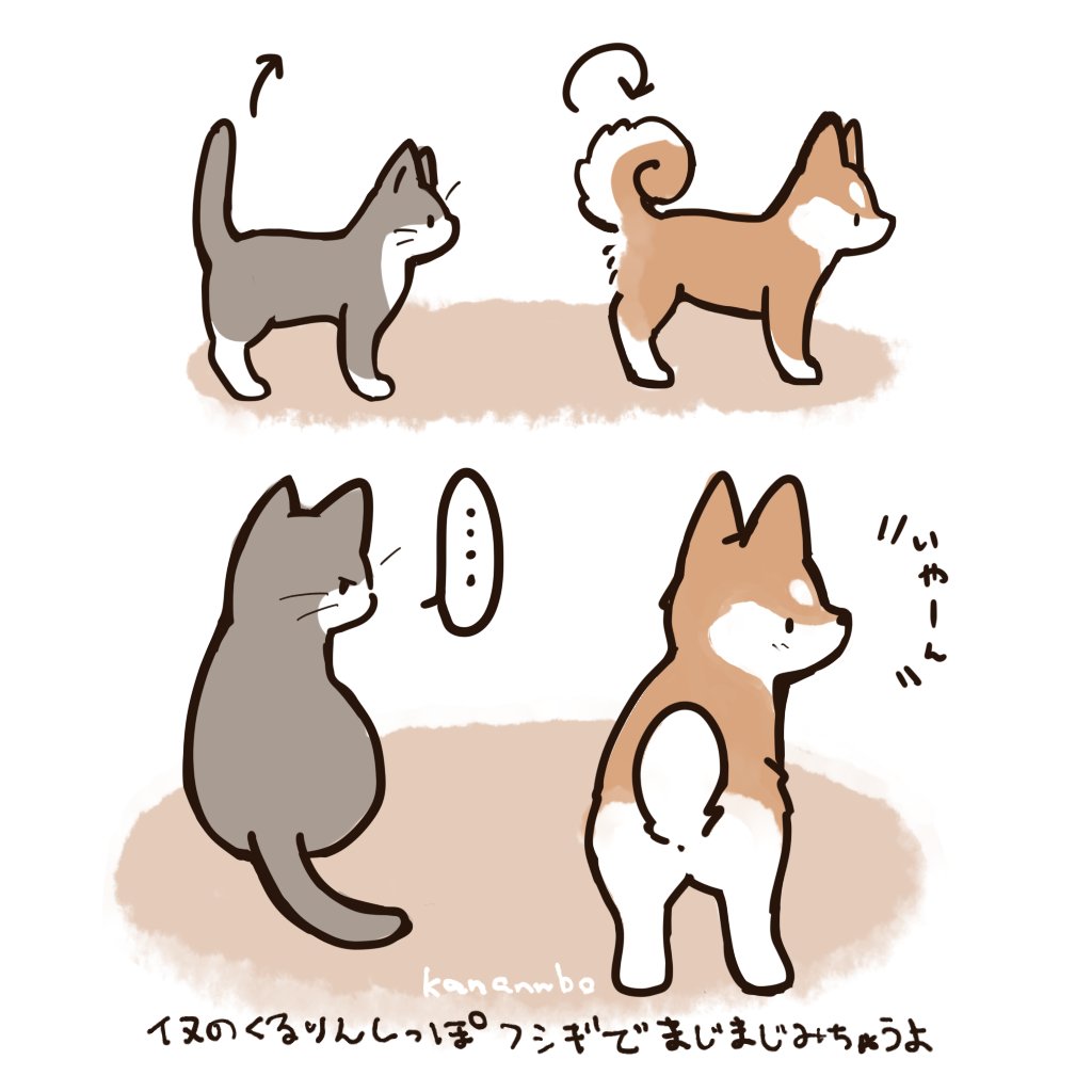 日記　犬の巻尻尾？の構造が不思議で見かけるたびに後ろ姿を凝視してしまうよ(ごめんね)