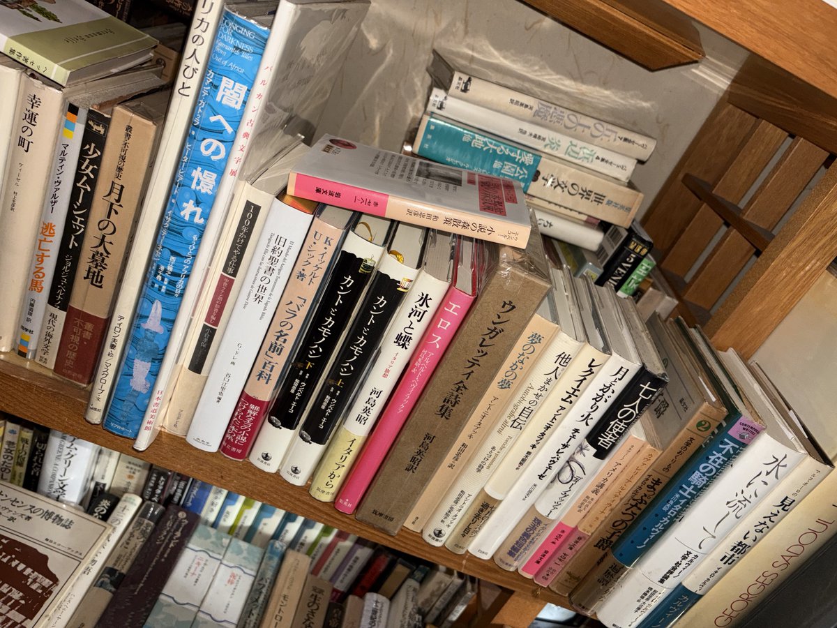 本日20日（土曜）は18時半に閉店いたします
いよいよ来週は『薔薇の名前』完全版！が発売
私のようなボンクラに違いは分からないかもしれませんが、またあの興奮が味わえると思うと楽しみでしかたありません
新装版とか改訂版、または文庫化、それから古本屋で再会した好きな本は再読の機会です。