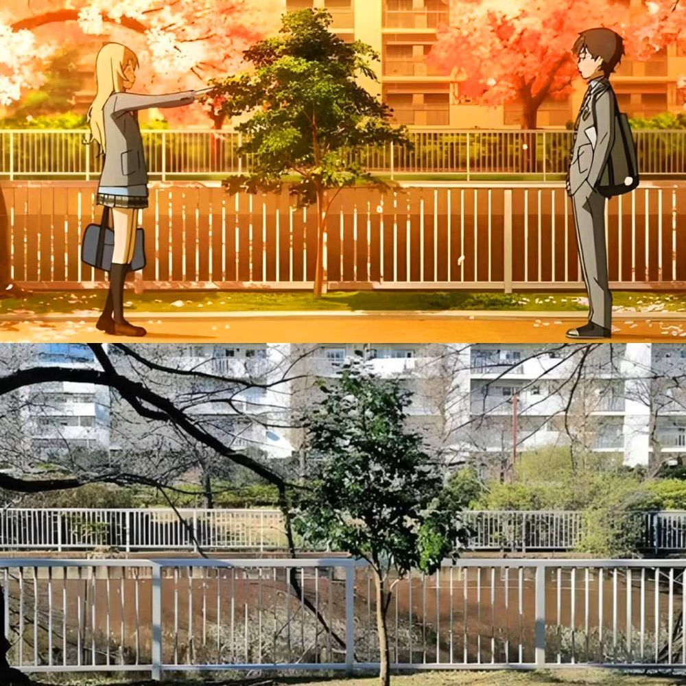 anime_'s tweet image. Your Lie in April (2014)