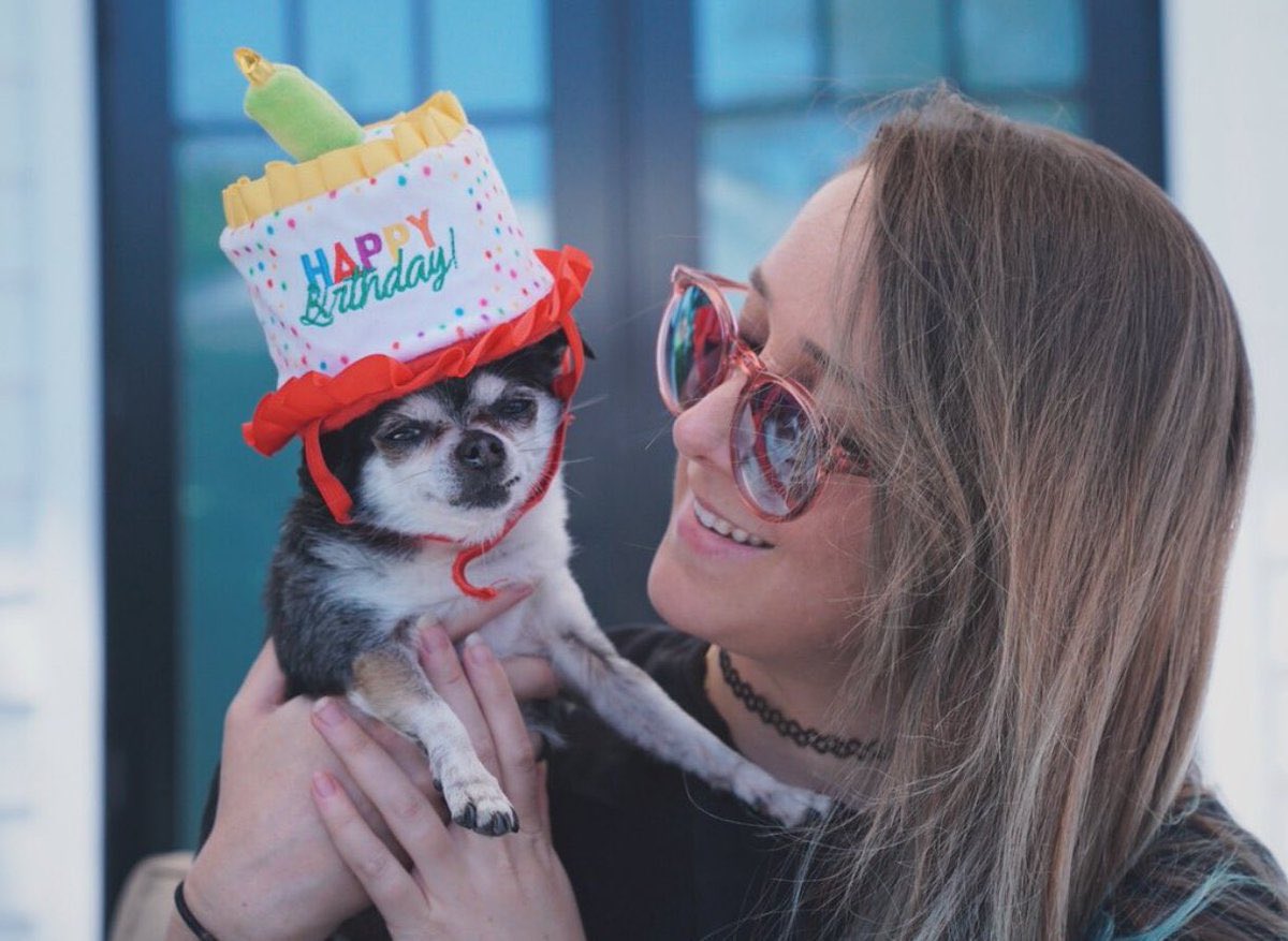 cowboylikemeel's tweet image. rest in peace mr. marbles 🥺