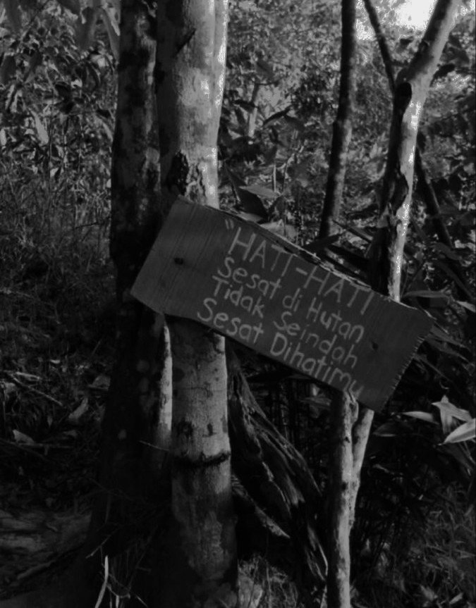 ARAH JANNUTA. tweet media