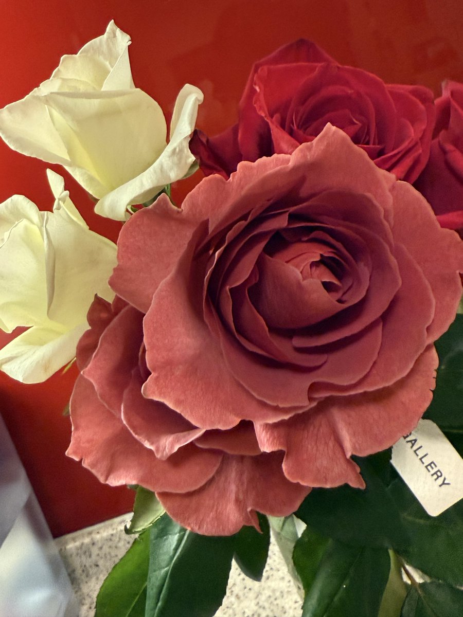 reikojmcl's tweet photo. ROSE GALLERY虎ノ門ヒルズ 様 より🌹美しい薔薇をお贈りいただきました🌹弊社 日本モードカラー研究所 ではデザイン制作にて日頃よりお世話になっております。美しく品格ある佇まい、心のこもったお心遣いを本当にありがとうございました🌹
#ROSEGALLERY
#ローズギャラリー https://t.co/FBqCByj3gA