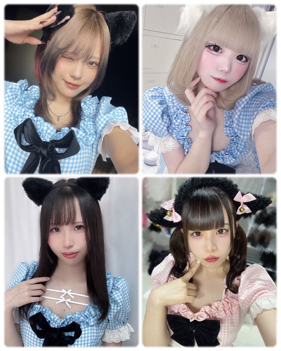 ❤️ Chii☆さま❤️ 🩷本日のあにまる🩵 シキ 16-23 @shiki_anml ごんぴちま 17-23