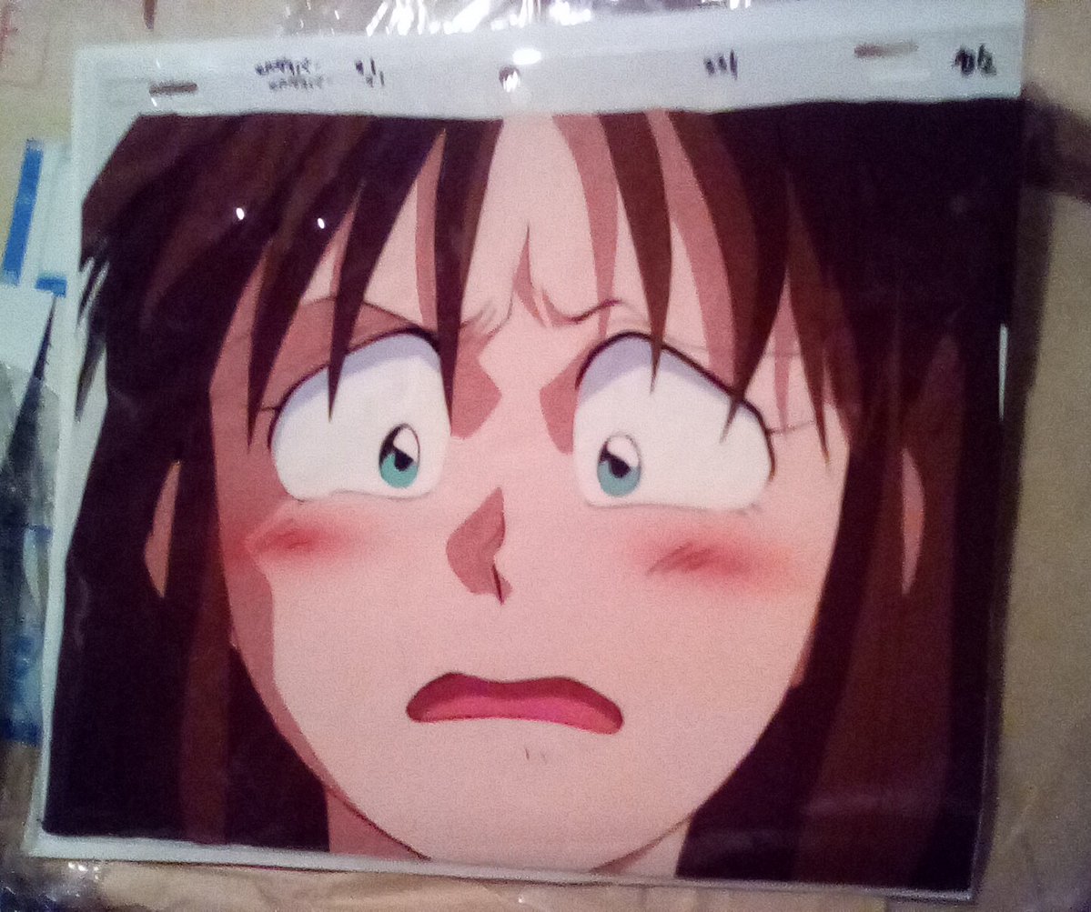 推しのドアップを貼る 「 モルダイバー 」 1993年 OVA 全6巻(「LD