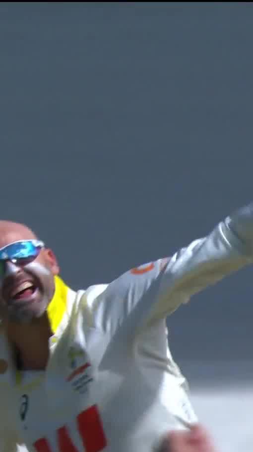 Nathan Lyon cleans up Harry Picture