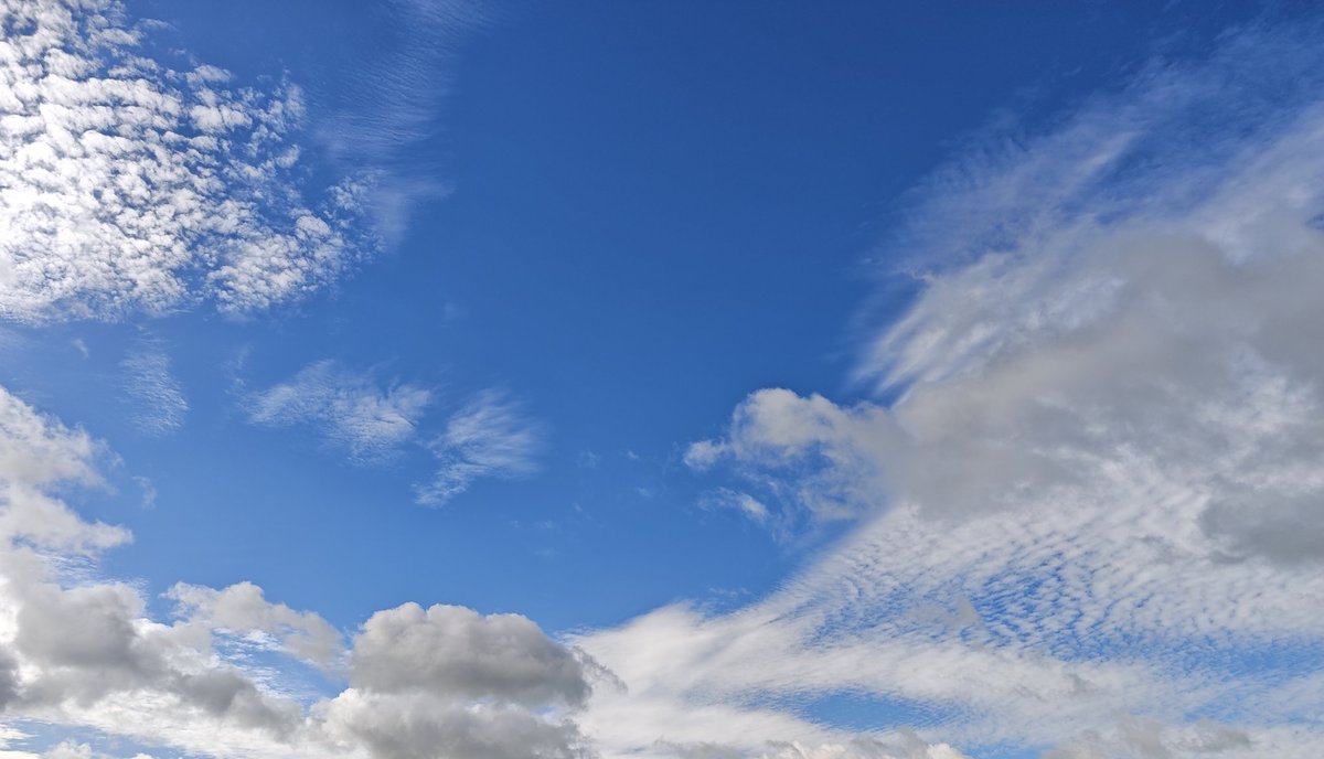 zanmozune's tweet photo. ☁️ https://t.co/It1KEG5DNF