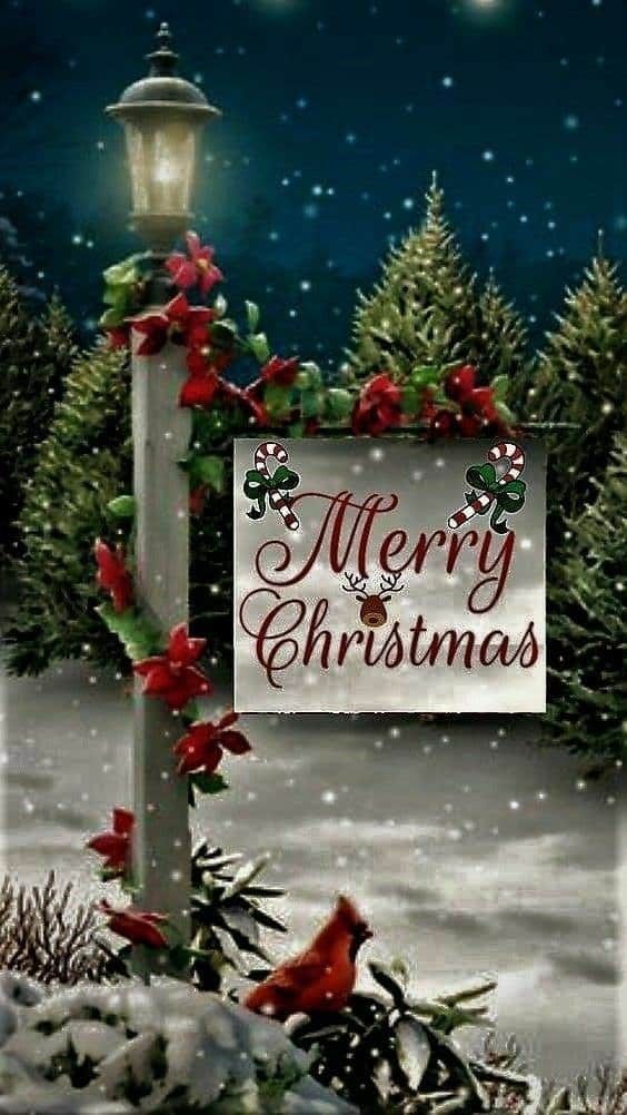 I wish all a wonderful peaceful and lovely Christmas time ❤️🎄🎅🎁❄️🦌