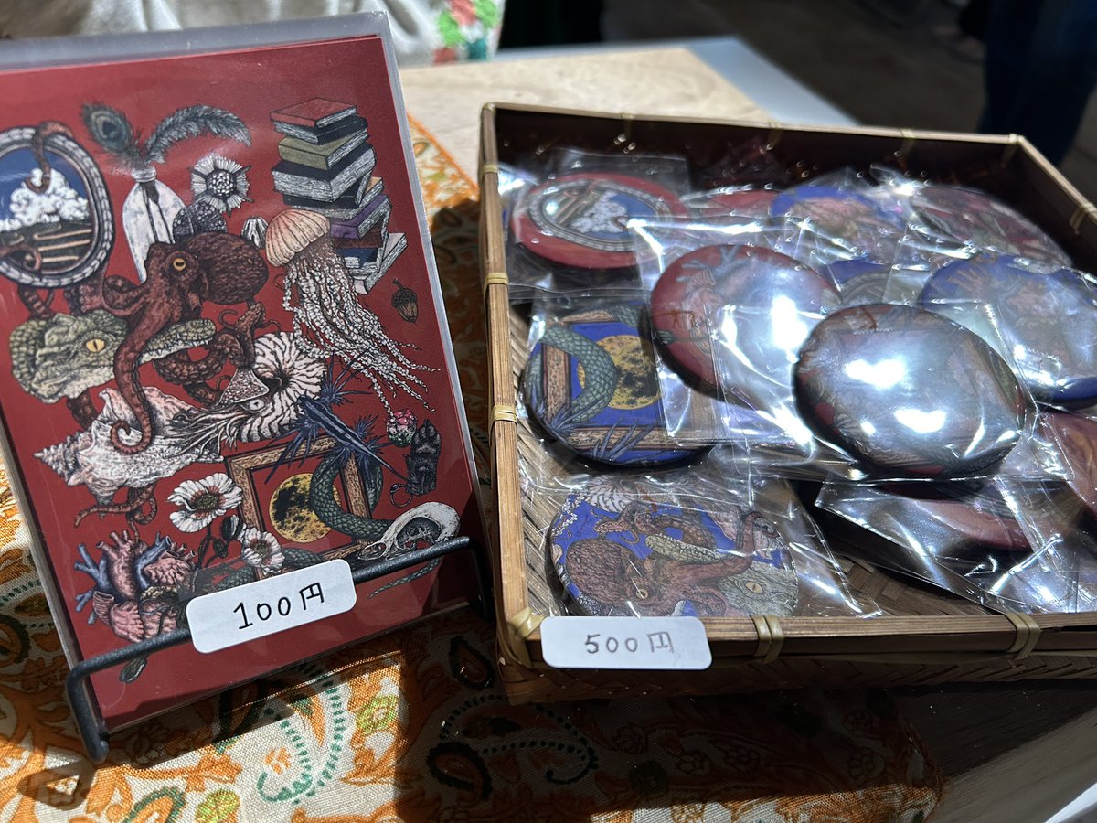 自然史ミュージアム 28冊セット 71巻（2025年） - 大阪市立自然史博物館友の会ネットショップ