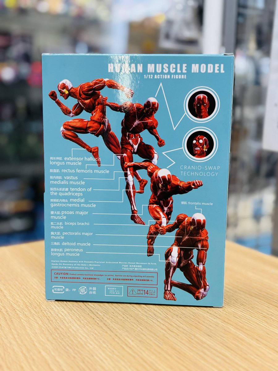 人体筋肉模型 1/12スケール 可動フィギュア ¥5940