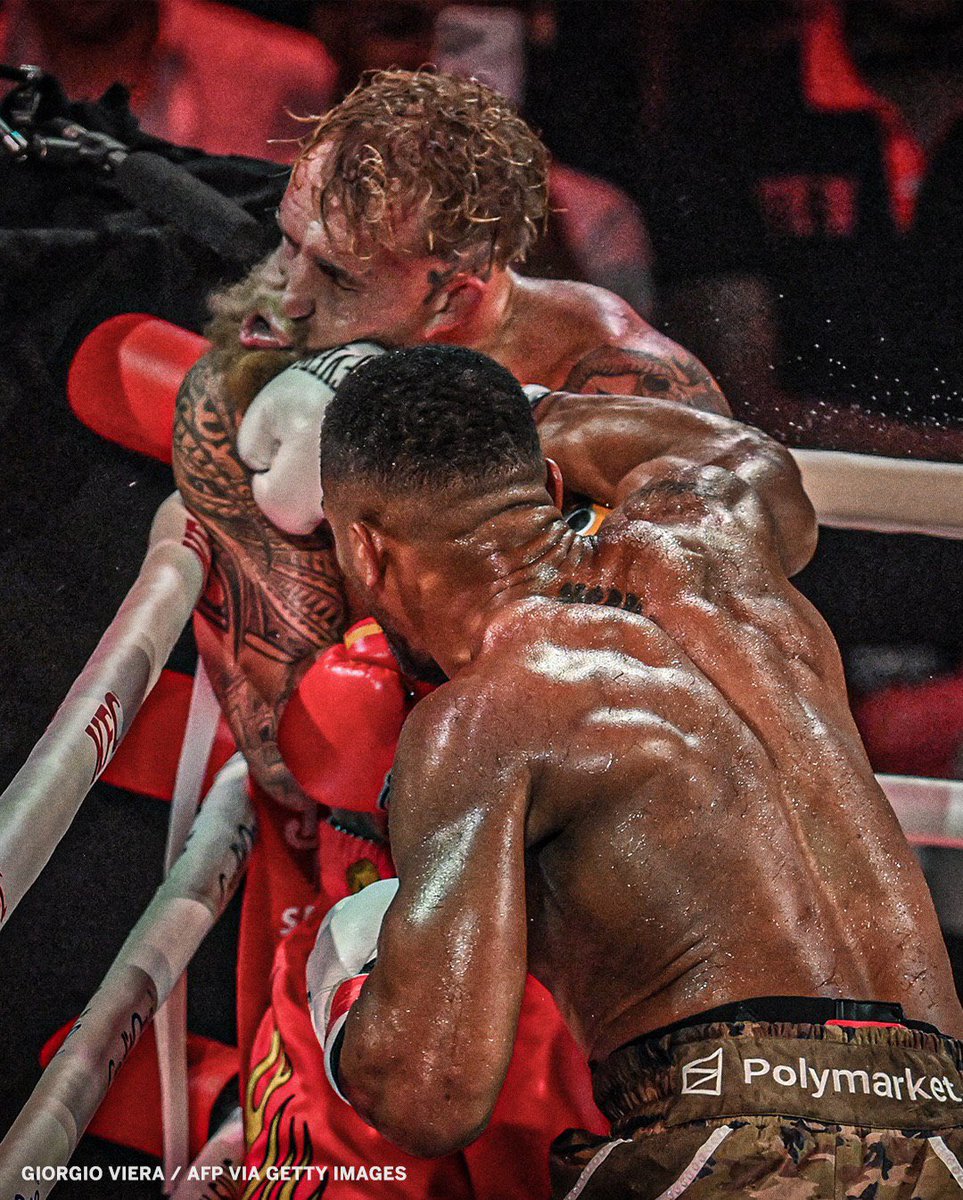 Home of Fight tweet media