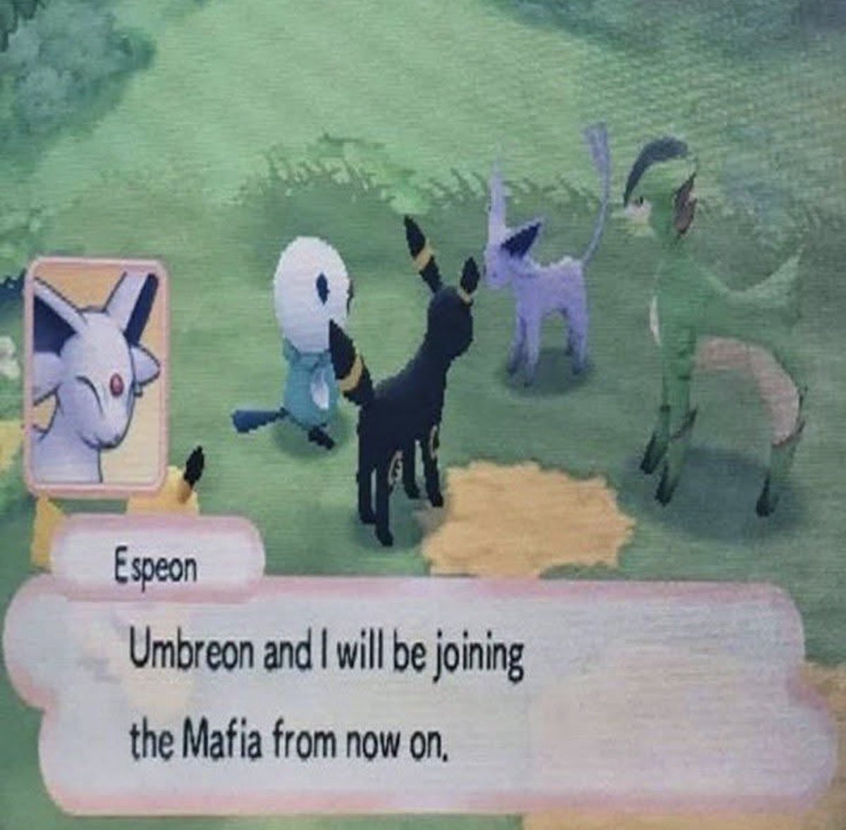 Umbreon and Espeon are going to do drive by shootings!
