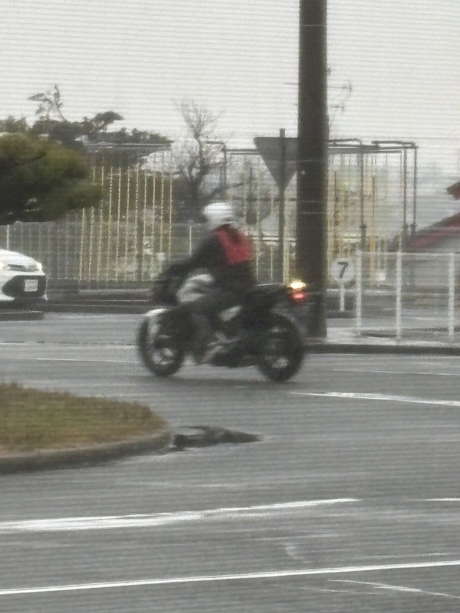 katapi0815's tweet image. 雨の中頑張ってらっしゃる^ ^