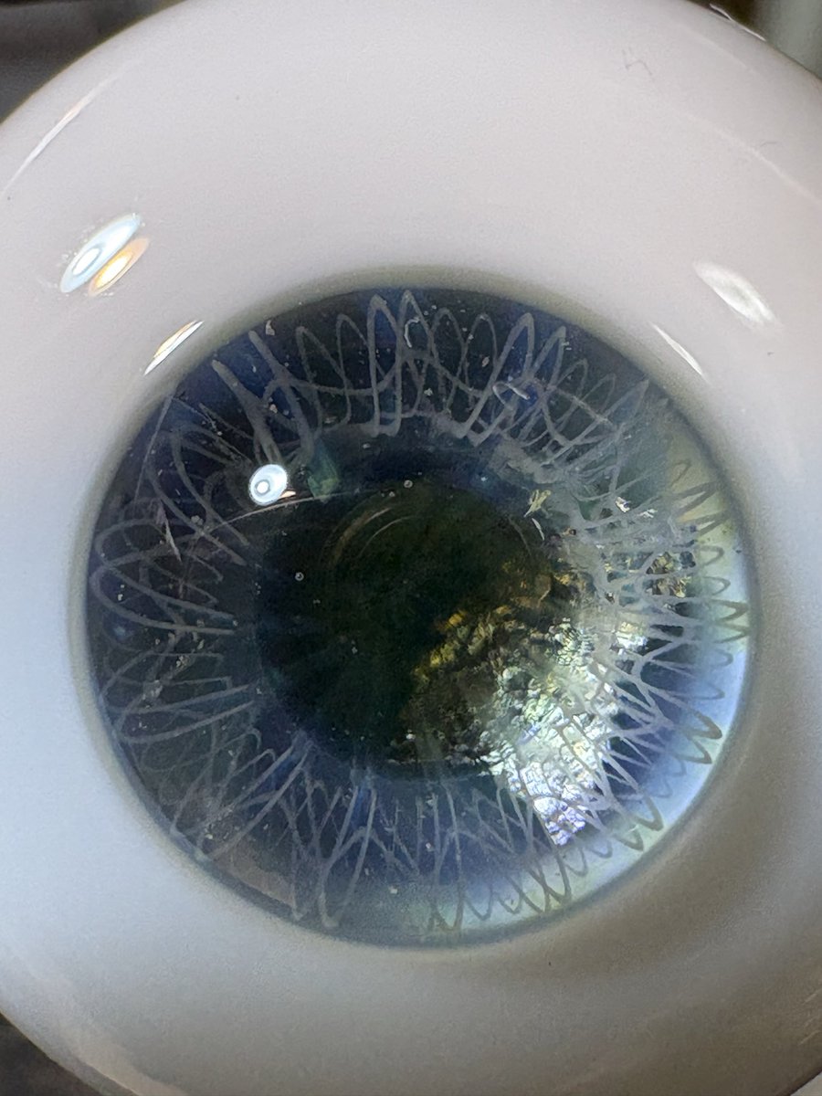 波岡 恵子 (@Namioka_keiko) / Posts / X